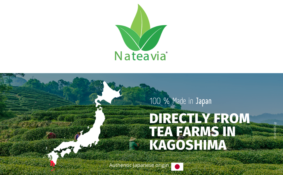 Organic Japanese Bancha Tea, Loose Leaf Green Tea from Kagoshima, Light Taste, Low Caffeine, 100g – Nateavia