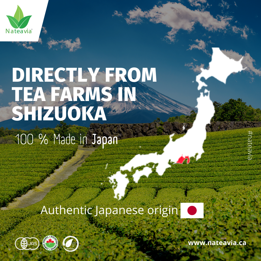 Nateavia Matcha Genmaicha - Hojas finas de sencha japonesas orgánicas, arroz integral tostado y matcha - Sabor cremoso - Auténtico origen japonés - 80 g