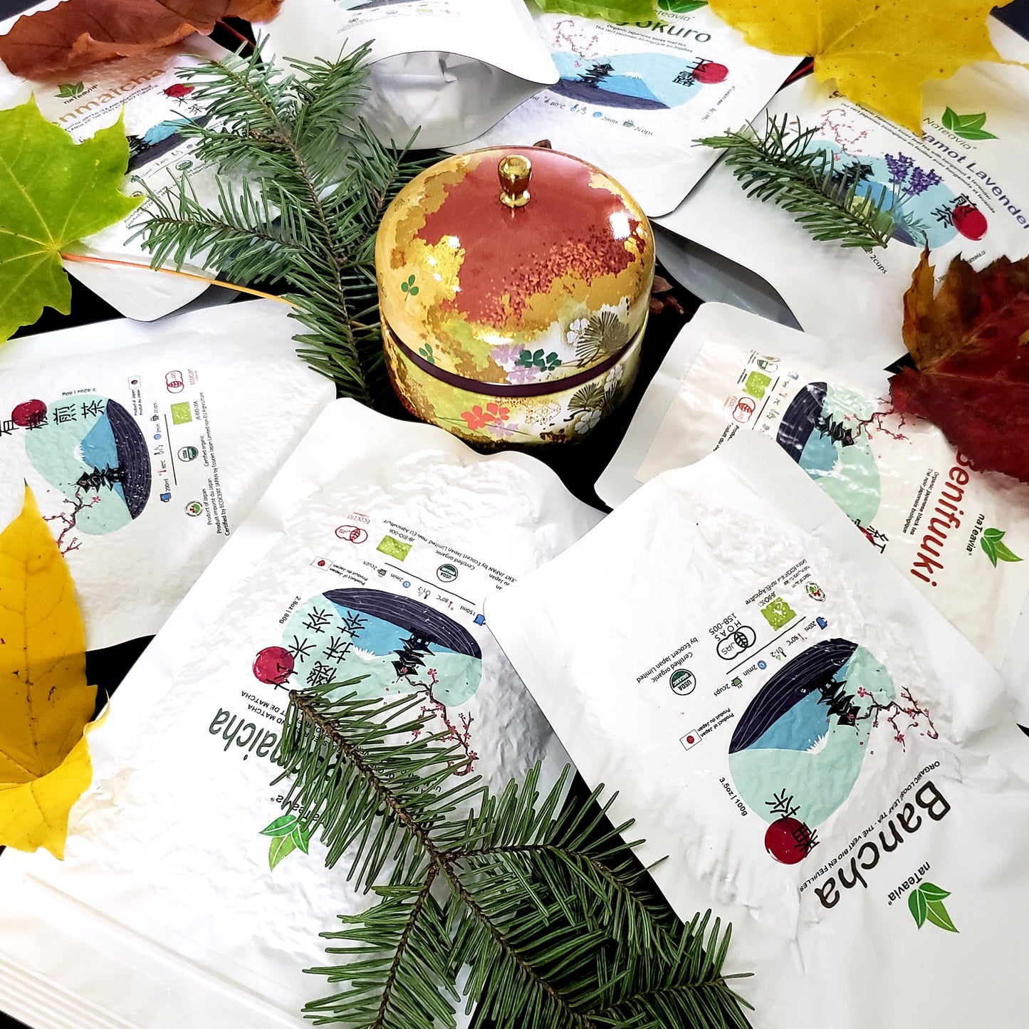 Coffret cadeau de qualité supérieure par Nateavia