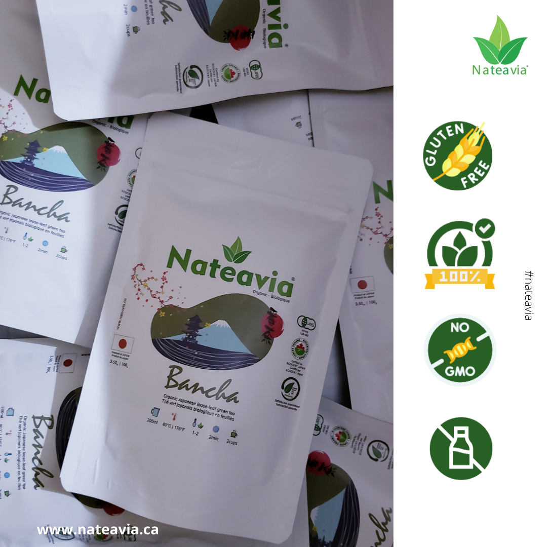 Organic Japanese Bancha Tea, Loose Leaf Green Tea from Kagoshima, Light Taste, Low Caffeine, 100g – Nateavia