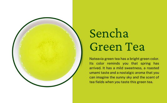 Nateavia Sencha Yabukita - Organic Japanese Loose Leaf Green Tea - First Flush - Authentic Japanese Origin, from Shizuoka - 1Kg