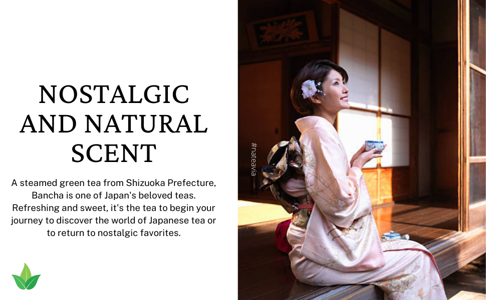 Nateavia Bancha - Organic  Japanese Loose Leaf Green Tea - Light Taste - Authentic Japanese Origin, from Kagoshima - 100g